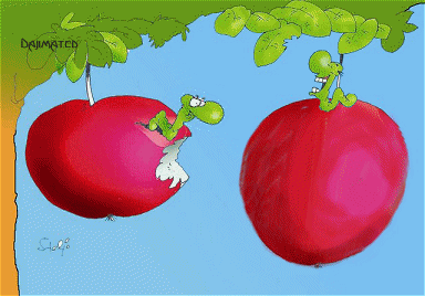 pic10731.gif